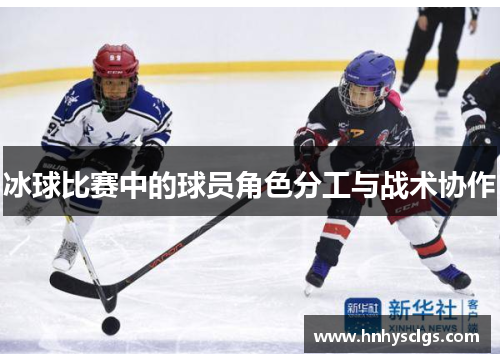 冰球比赛中的球员角色分工与战术协作