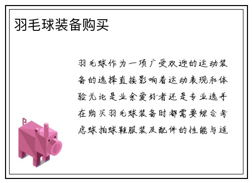 羽毛球装备购买